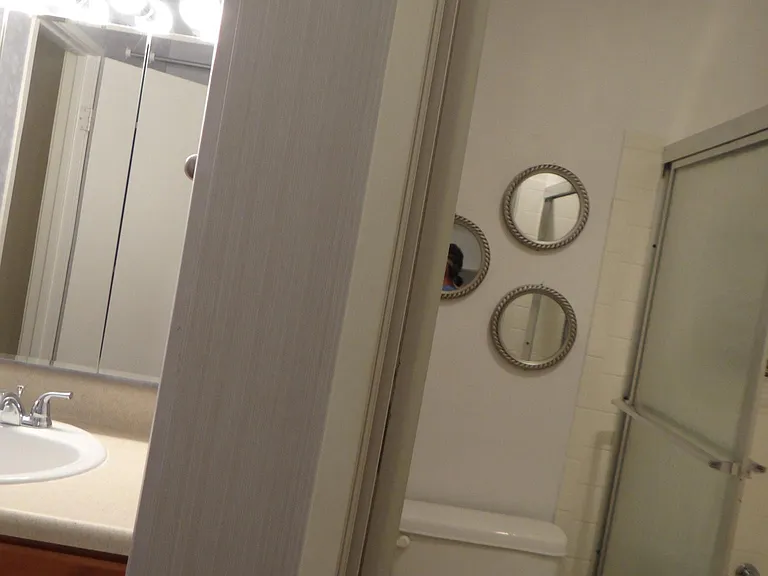 Primary bedroom sink and separate bath and toilet area