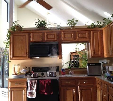 Open sunny Kitchen