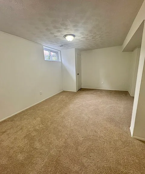 LOWER LEVEL FAMILY ROOM