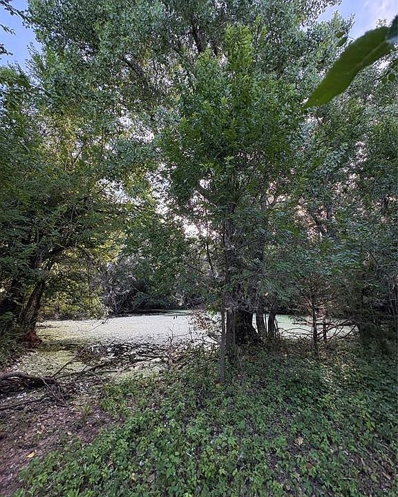 2nd image of 1218 County Road 1230