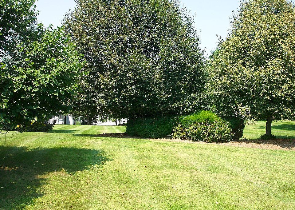 1st image of 41 Butler Dr