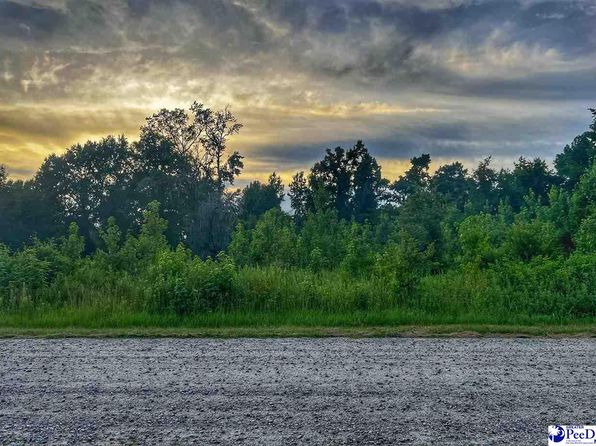 LOT 14 S McLaurin Lake Cir, Dillon, SC 29536