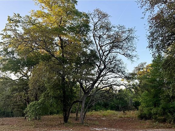 5th image of 6005 & 6007 Tree Top Ln