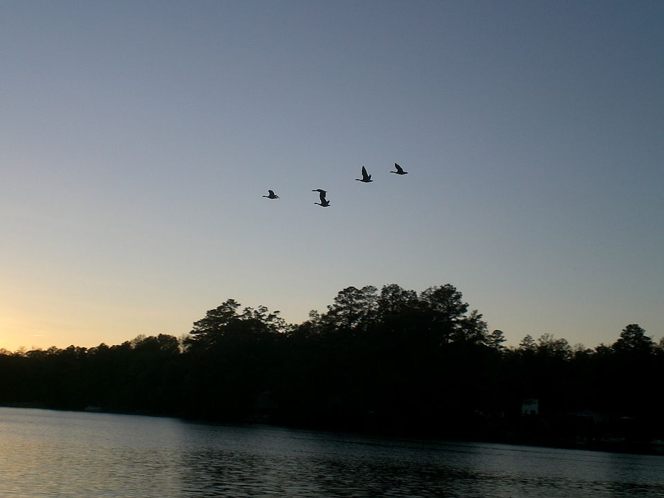 1st image of Lakeshore Dr #247