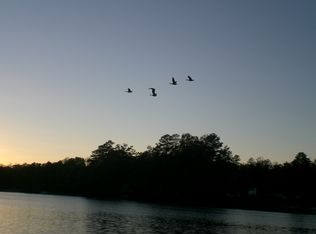 Lakeshore Dr #247, Quinton, VA 23141