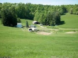 4523 Eagles Nest Rd, Bruceton Mills, WV 26525