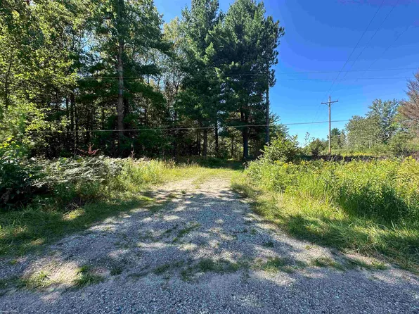 0 Long Lake Rd, Hale, MI 48739