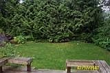 Backyard- large deck