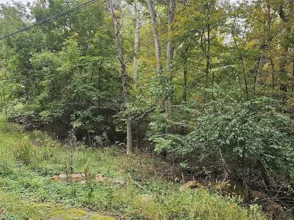 1239 Robin Hood Dr, Lake Sherwood, MO 63357