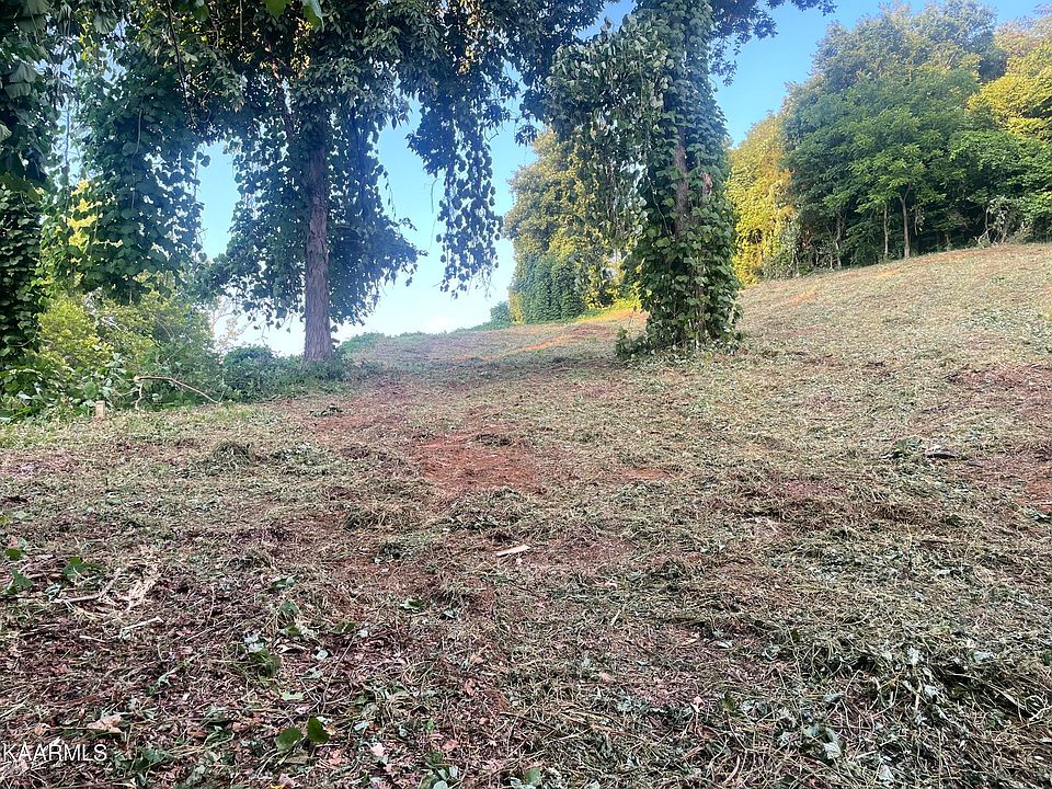 1st image of Chapman Hwy