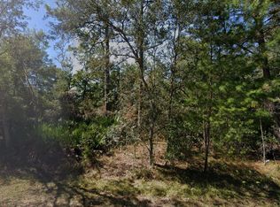 Tbd Theresa Avenue, Interlachen, FL 32148