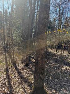 Tbd85 S Sidnaw Rd, Sidnaw, MI, 49961