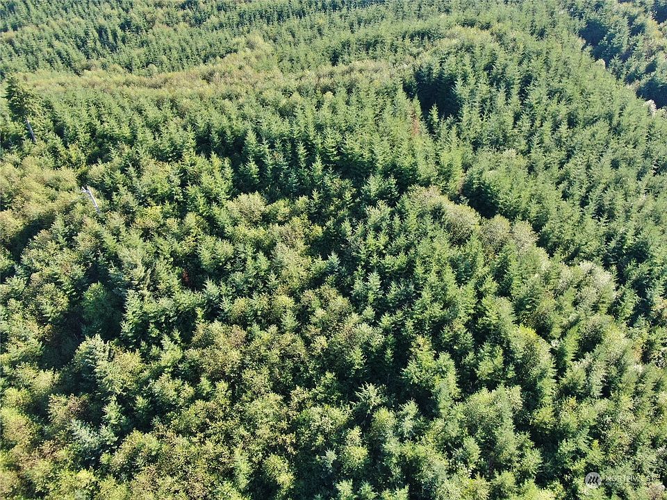 2nd image of 0 Off of Butte Creek Road