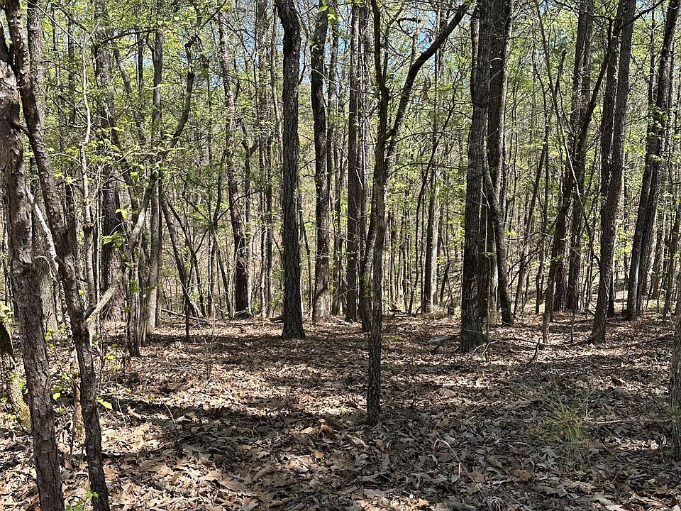 1st image of 28 Deer Hollow Trl