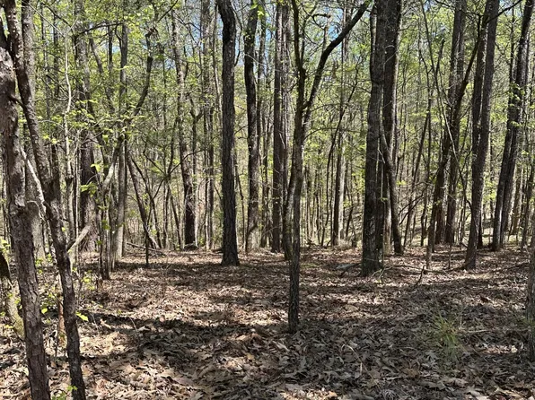 28 Deer Hollow Trl, Dadeville, AL 36853