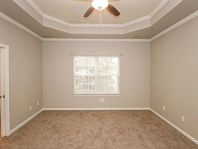 461 Revolution Ln — Photo 14