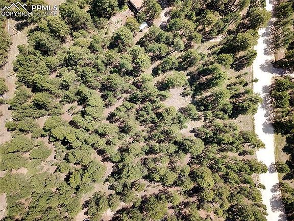 3rd image of 8290 Woodcrest Dr