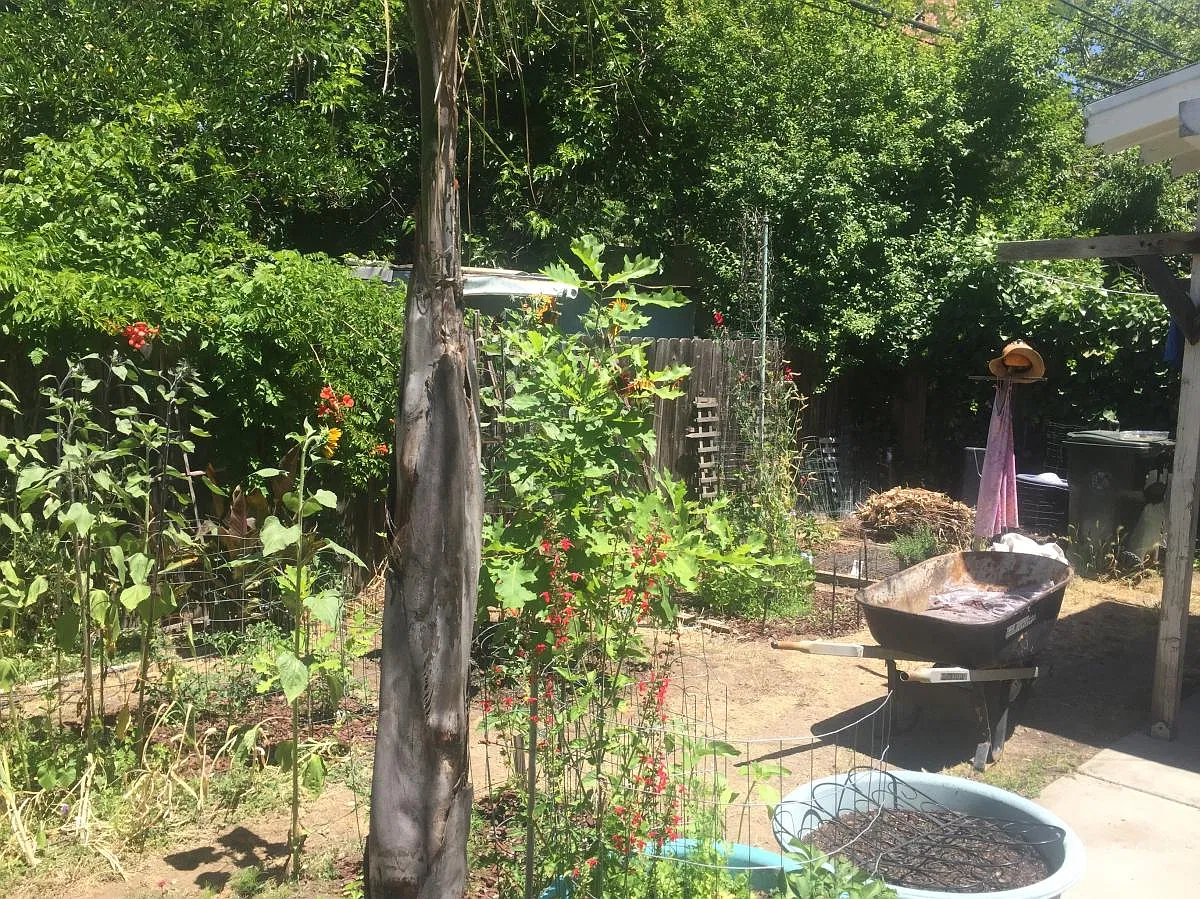 Studio, 100 sqft, $695 — Photo 4