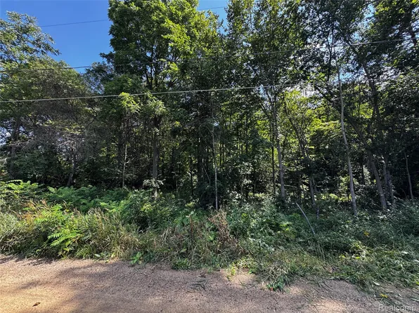 12195 Softwater Lake Dr, Linden, MI 48451