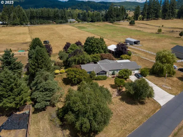 25900 NE 415th St, Amboy, WA 98601