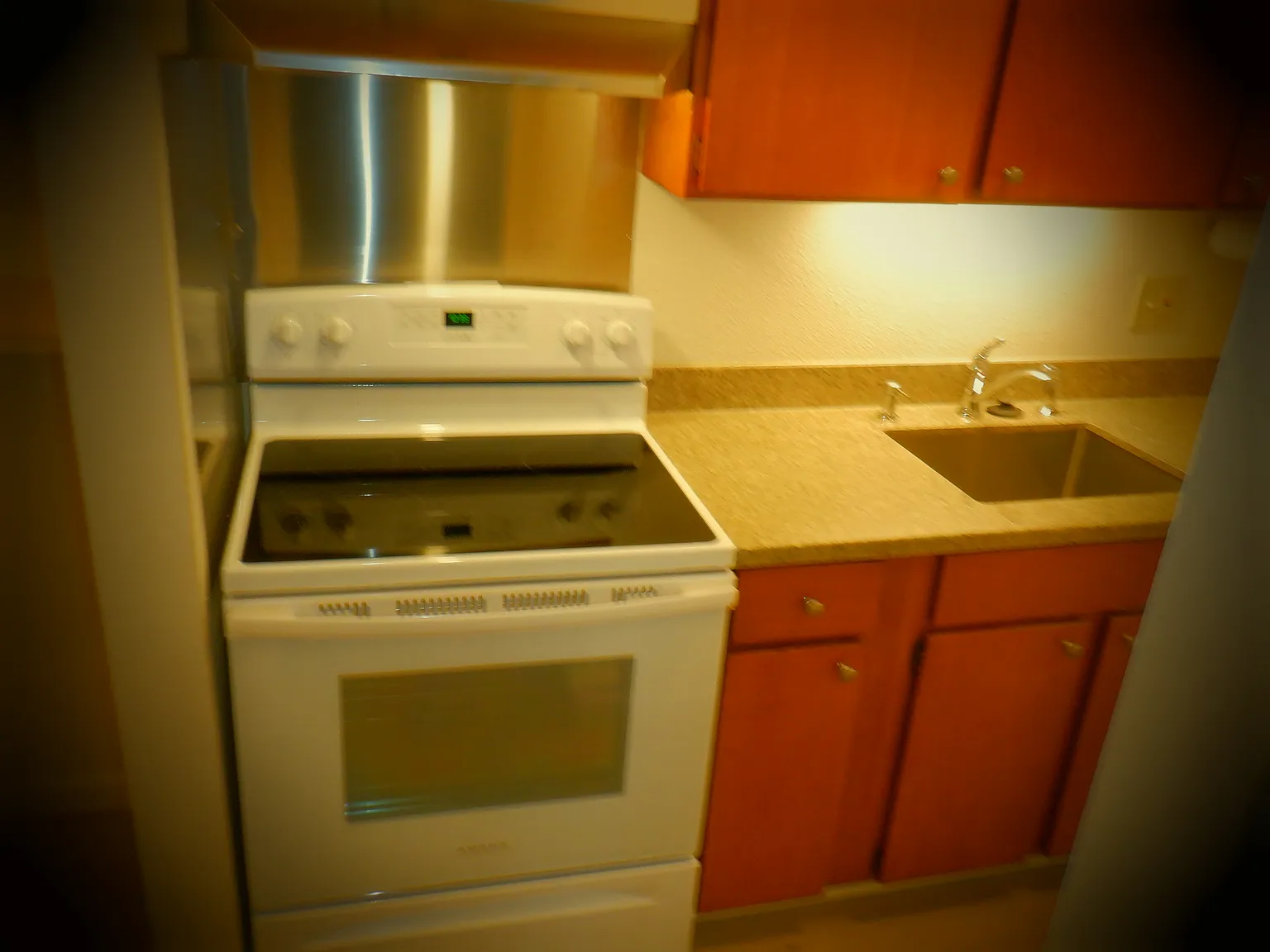 1 bed, 460 sqft, $1,300 — Photo 2