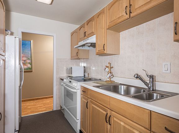 5th image of 1255 N Sandburg Ter APT 1502