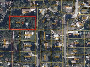 8602 Claonia St, Tampa, FL 33614