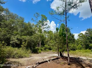 Nettles Rd, Florahome, FL 32140