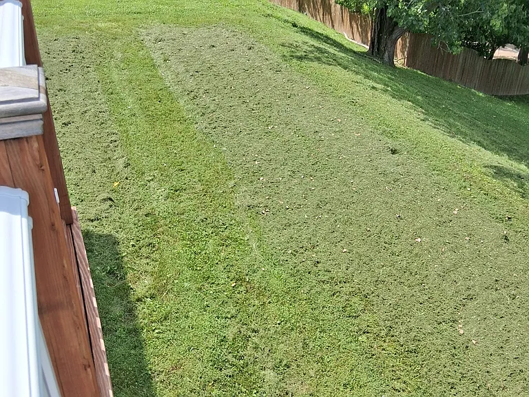 partial view of unfenced yard