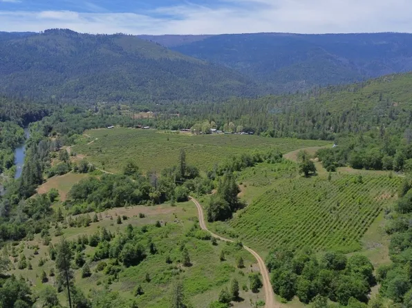 321 Olsen Creek Rd, Hyampom, CA 96046