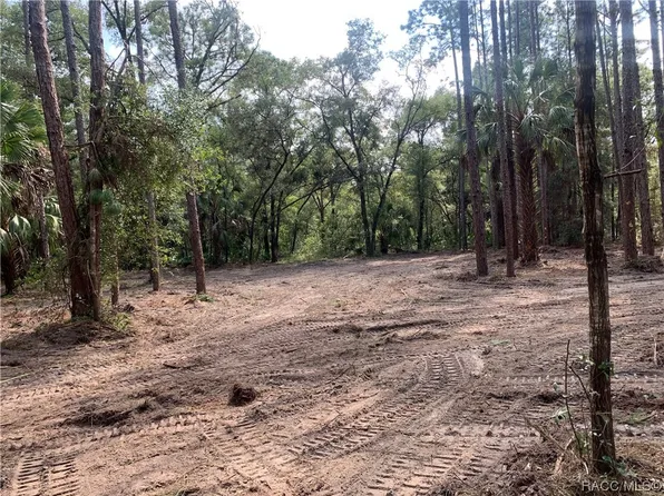 8664 W Rue Des Prairies Pl, Crystal River, FL 34428