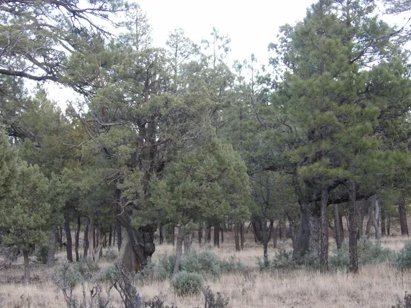 2941 Eagle Ridge Cir, Happy Jack, AZ 86024