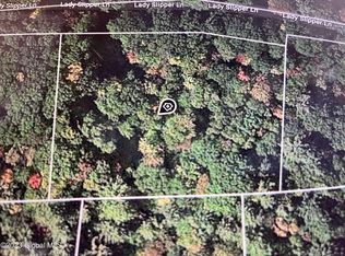 24 Lady Slipper Ln, Porter Corners, NY 12859