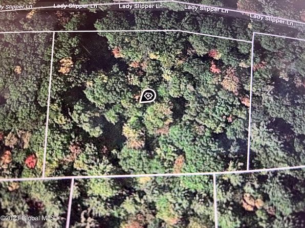 24 Lady Slipper Lane, Porter Corners, NY 12859