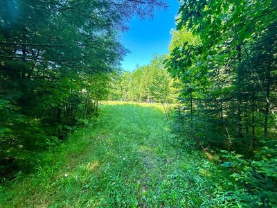 Johnson Rd, Crandon, WI, 54520