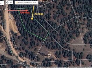 0 Lodgepole Cir, Evergreen, CO 80439