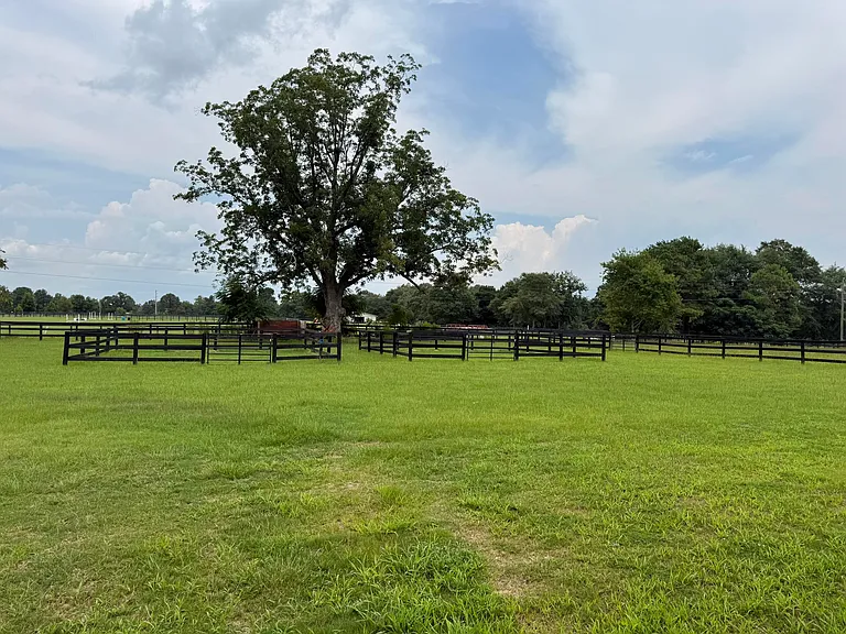 102 Deer Stand Rd — Photo 23