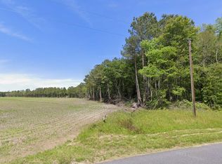 0 Mount Olive Church Rd, Snow Hill, MD 21863