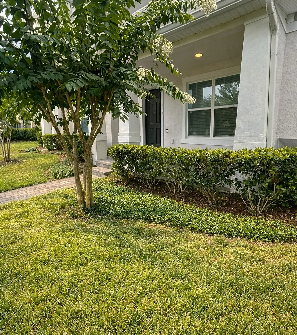 3 bed, 1868 sqft, $2,750 — Photo 4
