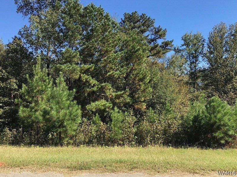 2nd image of 0 Lary Lake Rd
