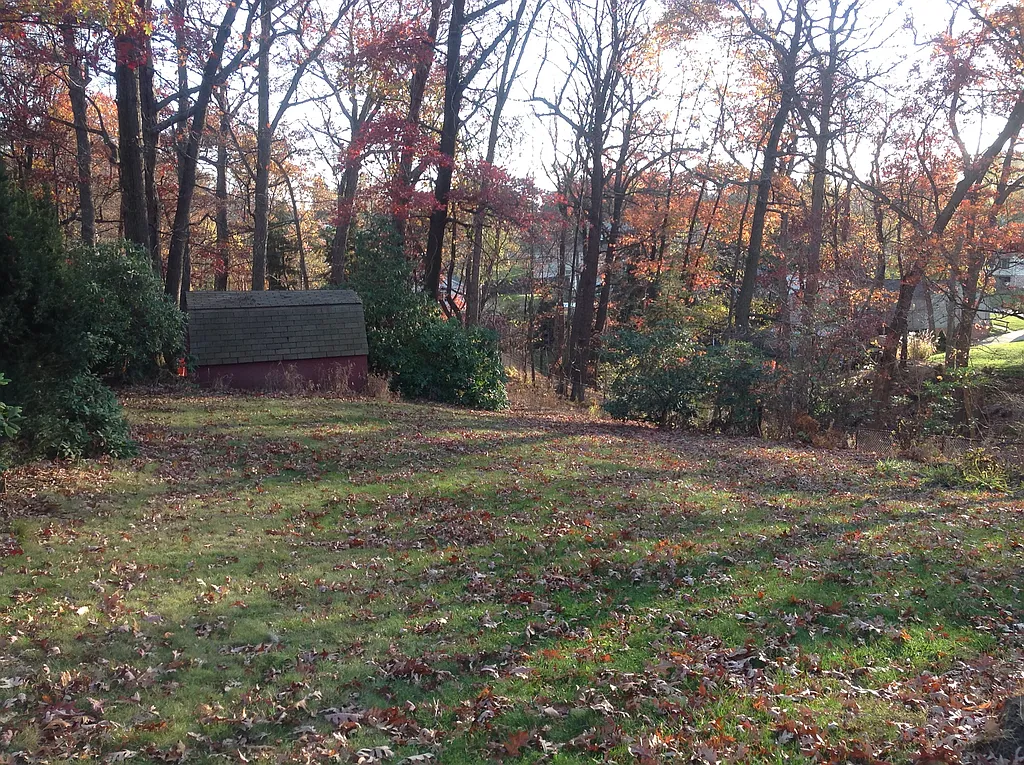Property photo 5