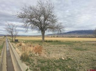 19830 Joy Rd, Delta, CO 81410