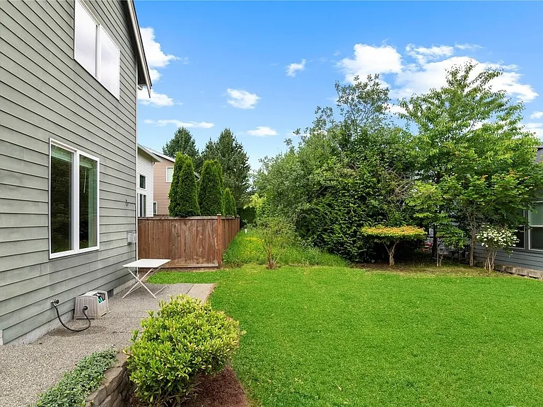Backyard of the house