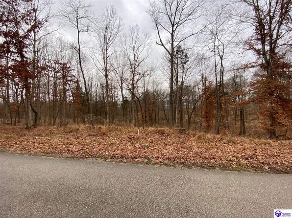 Land For Sale In Brandenburg Kentucky