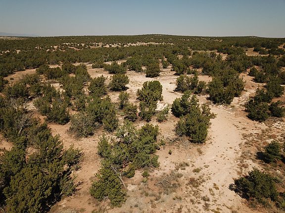 3rd image of 130 Deer Canyon Trl