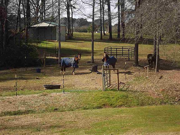 4th image of 1440 Thurmond Cir