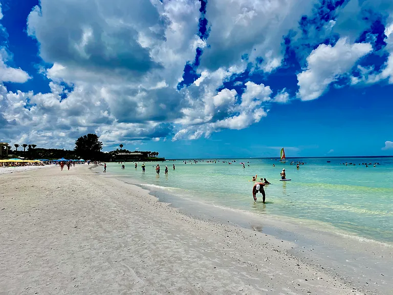 Sabal Dr — Photo 18
