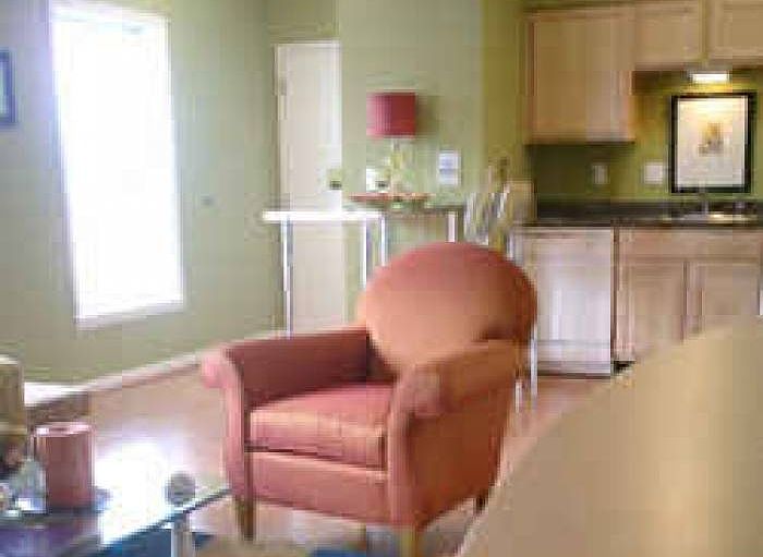 Tons of Natural Light!