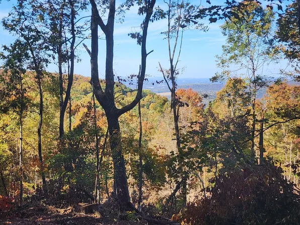 25 Higgenbottom Tpke, Altamont, TN 37301