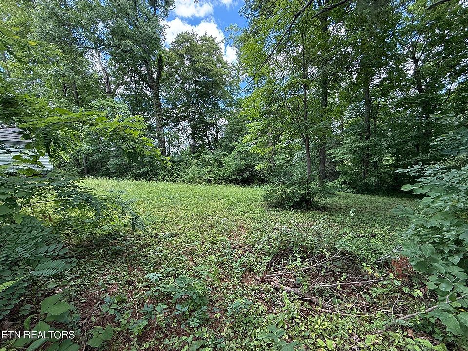 1st image of Shoreline Cir